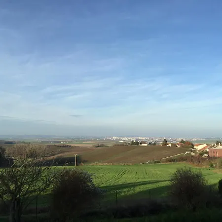 Reims Epernay Champagne Vineyard Villers-Allerand