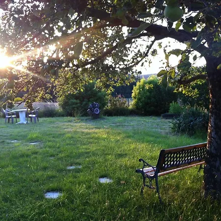 Reims Epernay Champagne Vineyard Homestay *