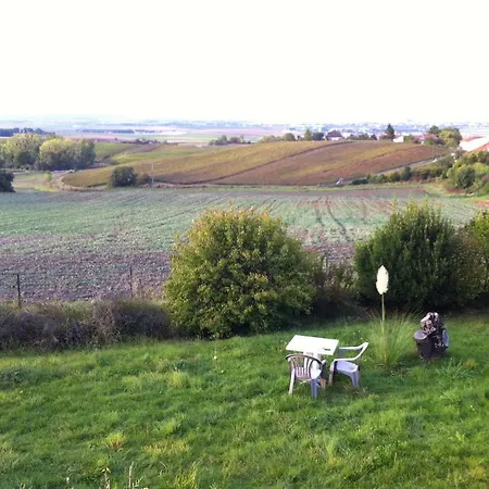 Homestay Reims Epernay Champagne Vineyard